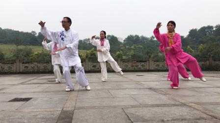 杨式太极拳28式习练