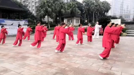 晨练37式传统杨式太极拳