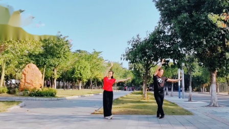 学跳云裳广场舞《不谓侠》
