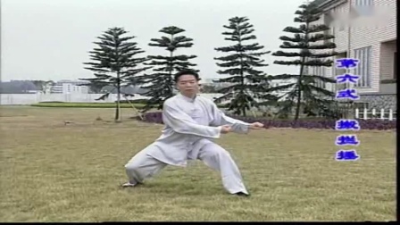 陈式太极拳56式分解 王二平下载