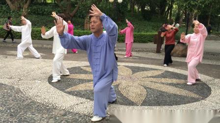 太极拳四十二式（洪湖太极）