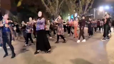 舞灵美娜子广场舞 《家乡美》夜舞版 高清下载下载