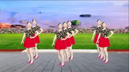 玫香广场舞《酒醉的胡蝶》32步附教学 教学