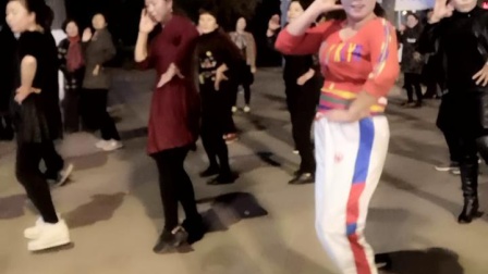舞灵美娜子广场舞《白龙马》夜舞版 高清下载下载