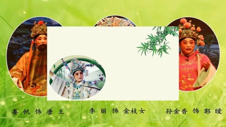 晋剧《打金枝》选段 陈静 名家名段欣赏高清版下载