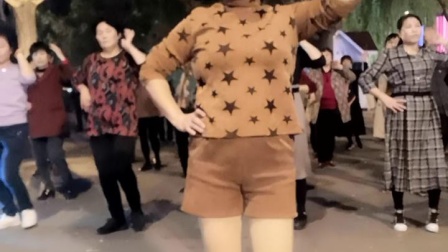 舞灵美娜子广场舞《耶耶耶》夜舞版 高清下载下载