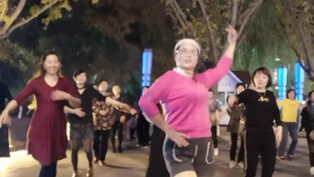 舞灵美娜子广场舞《阿拉伯之夜》夜舞版 高
