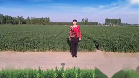 广场舞《中国好姑娘》32步附教学 教学视频