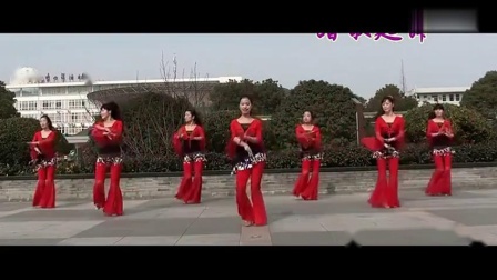 广场舞《红红火火闹新年》正反面演示教学 