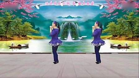 广场舞《DJ爱不起》 正反面附教学 简单好学