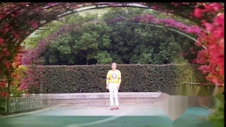 广场舞《千杯不醉》原创编舞附教学 简单好