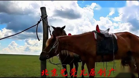 广场舞《敖包再相会》正面附教学 简单好学