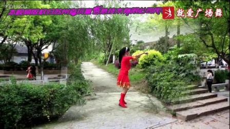 广场舞《骑着马儿唱情歌》反面附教学（民族草