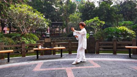 杨式85式太极拳背面 视频高清下载