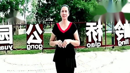 广场舞《都说》附教学 简单好学高清下载