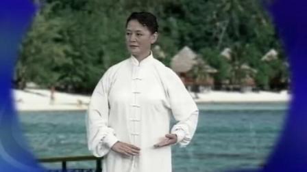 陈式太极拳 养生十八式 完整演练 视频高清