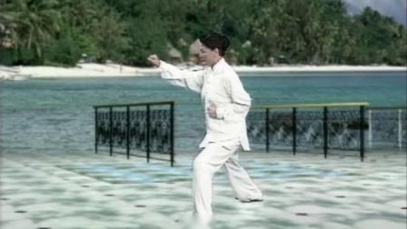 陈式太极拳 养生十八式 背向演练 视频高清