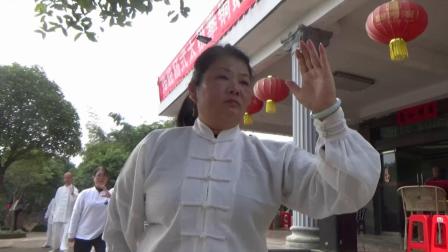 2019年杨氏太极拳85式集体演练 视频高清下