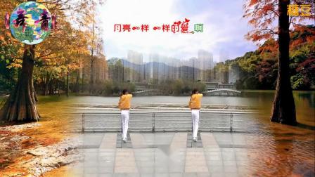 青儿广场舞 《阿爸阿妈》教学视频简单好学