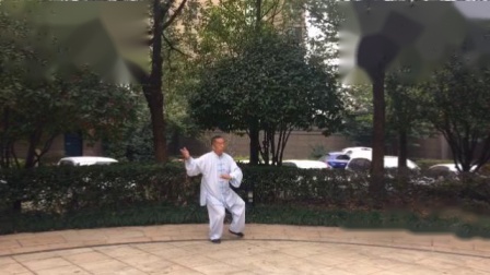 传统杨氏85式太极拳（安仁华）教学视频简单好学