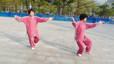 二十四式太极拳教学视频简单好学高清下载