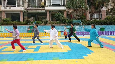 阳光太极队晨练32式太极拳视频高清下载