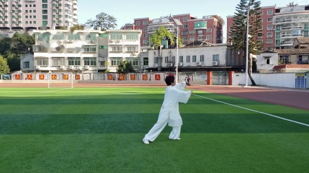 林亚玲 24式太极拳 教学视频简单好学高清下