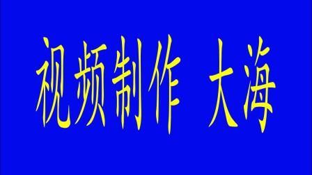 杨式85式太极拳左右分脚视频高清下载