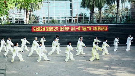 杨氏太极拳27式 视频教程高清下载