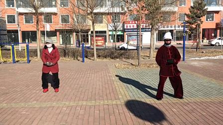 陈式太极拳老架一路 教学视频简单好学高清
