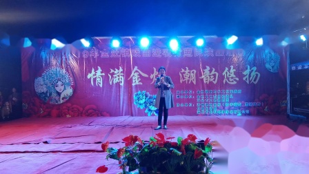 潮剧《王金龙命中不幸》林佩吟   高清mp4视