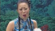 二人转正戏《 员外休妻》张小光 温美玲 九子富贵图选段下载