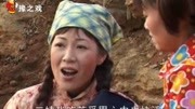 民间小调《芳草泪》你妈妈临终前把你托给我 孙桂华演唱下载