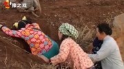 民间小调《芳草泪》回草棚你做饭我去采草药