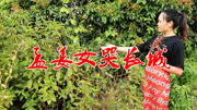 一首民间小调《孟姜女哭长城》感人肺腑 唱