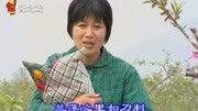 民间小调 《四川女跑山东》孙桂华演唱 戏曲大全下载下载
