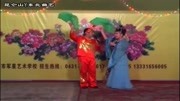 二人转《杨宗保招亲》林树青 杨兆坤名家名段唱段欣赏下载