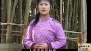民间小调《血泪仇》张玉香一路泪涟涟
