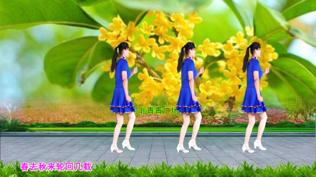 DJ广场舞《走不出你的爱》轻盈32步附教学轻