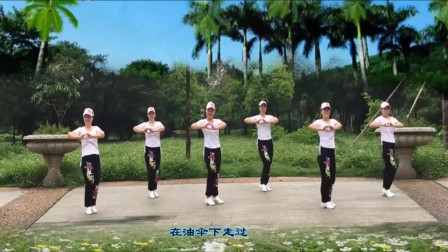 云裳广场舞《一曲相思》教学视频简单好学高