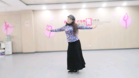 舞灵美娜子广场舞《阿拉伯之夜》  2019年教学版视频免费下载下载