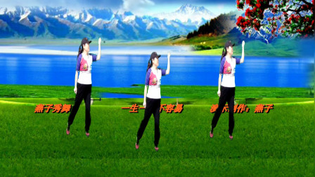 动感DJ广场舞《一生一世不容易》歌曲好听让