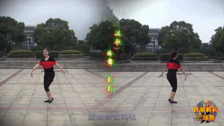 广场舞《远歌》一段正反面舞蹈教学 简单好