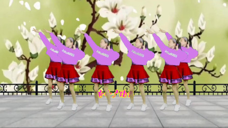 DJ版广场舞《完美人生》好听好看简单易学适