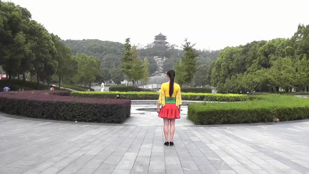 广场舞《家乡的味道》教学视频简单好学高清