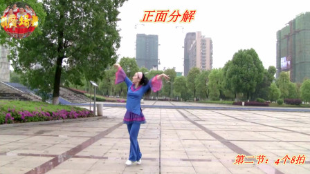 广场舞《花儿妹妹》教学视频简单好学高清下