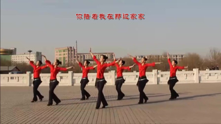 云裳广场舞《小小新娘花》教学视频简单好学