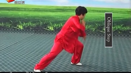 陈氏太极拳精要十八式  整套演示  高清mp4