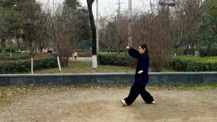 四十八式太极拳 全套动作正面演练  高清mp4