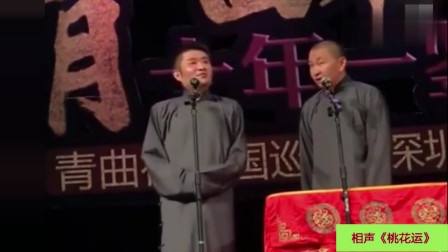 《桃花运》苗阜 王声经典相声合集 句句都是
